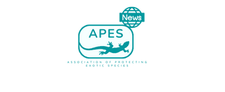 APES Newsroom